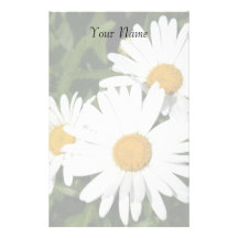 Shasta Daisies Stationary Stationery Paper