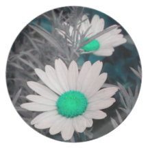 Shasta Daisies (w/Aqua) Plate