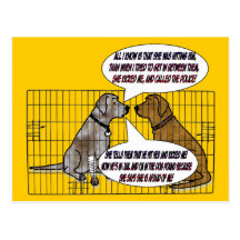She Kicked The Dog Post Card