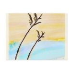 She Sells Seashells Post Cards