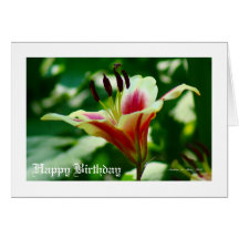 She walks in beauty.... cards