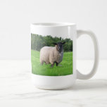 Sheal Classic White Mug