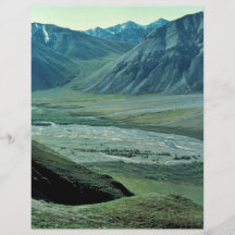 Sheenjek River Valley with dall sheep Flyer Design