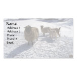 Sheep and Goats in April Snow Business Cards