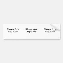 Sheep Are My Life Bumper Stickers