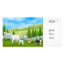 Sheep & Border Collies Photo Card