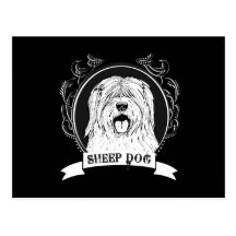 SHEEP DOG (2) POST CARD