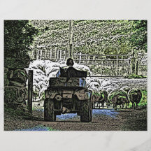 SHEEP FARM FLYERS