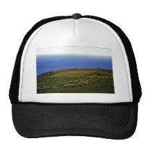 Sheep Flock, Christchurch, South Island Mesh Hat