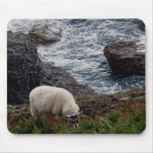 Sheep Grazeing On Wild Remote South Devon Coastlne Mouse Mat