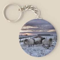 Sheep - in a Dutch Winter Sunset keychains