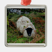 Sheep in hideing on dartmoor christmas ornament
