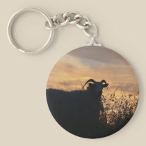Sheep - in Silhouette keychains