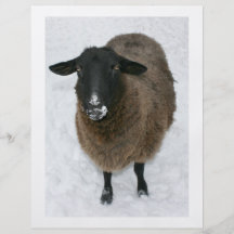 Sheep in snow personalized flyer