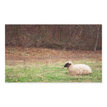 Sheep in the Meadow Rectangle Stickers