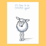 Sheep: It's time to be shorn again! postcards