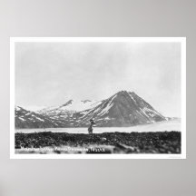 Sheep Kenai Peninsula Alaska 1912 Print