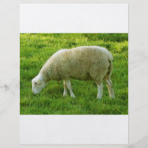 Sheep - Mouton Prospectus Personnalisés
