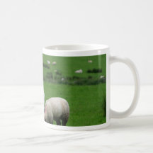 Sheep Near Deerpark Ireland Coffee Mugs