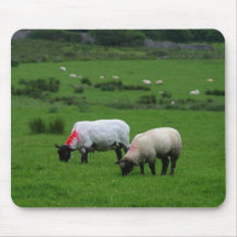 Sheep Near Deerpark Ireland Mousepad