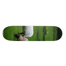 Sheep Near Deerpark Ireland Skate Boards
