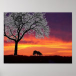 Sheep on the horizon 2...Border Collie Poster
