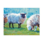 Sheep painting Summer light Postcards