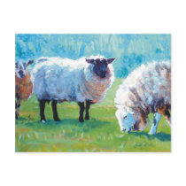 Sheep painting Summer light Postcards