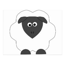 Sheep Postcard