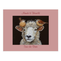 Sheep save the date postcard