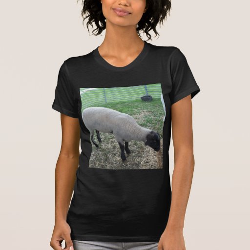 Sheep T-shirt