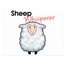 Sheep Whisperer Post Cards
