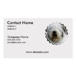 Sheepdog Business Card business cards