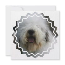 Sheepdog Invitation