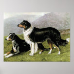 "Sheepdogs" Vintage Dog Illustration Print