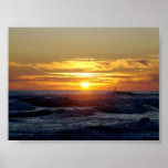 Sheila's Sea Posters