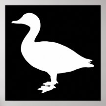 Sheldrake Duck Poster
