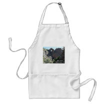 Shelf Road Apron