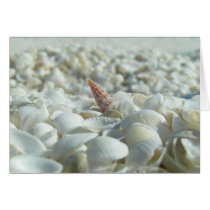 Shell Beach Greeting Cards