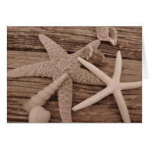 Shell Collection Cards