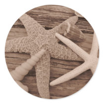 Shell Collection Sticker