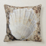 Shell Oreillers