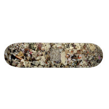 shell it skateboard deck