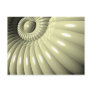 Shell of Repetition Postcard