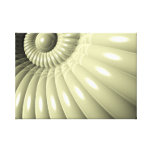 Shell of Repetition Stretched Canvas Prints