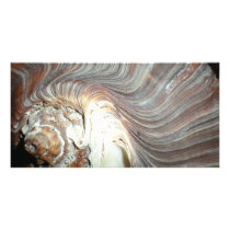 SHELL PHOTO CARD TEMPLATE