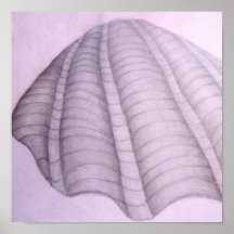 Shell Posters
