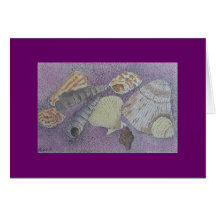 shell selection greeting cards