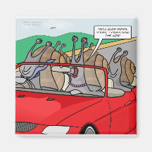 Shell Wishes Magnet