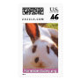 Shelley the Rabbit Postage Stamp